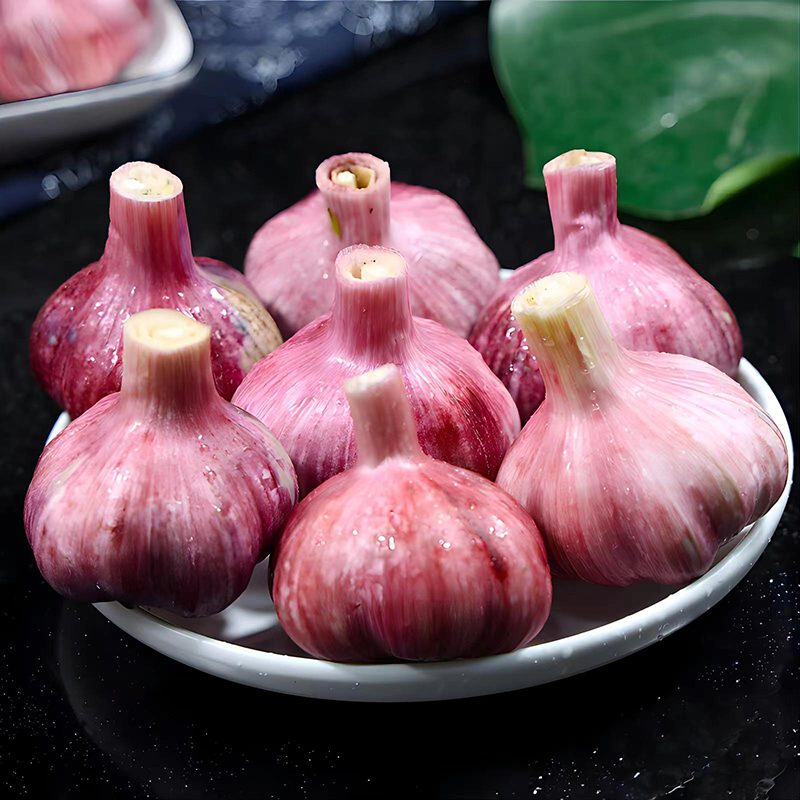 甘肃大蒜
